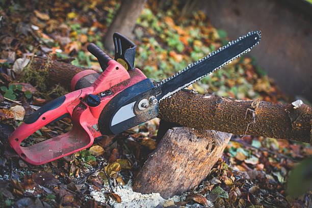 Best Leaf Removal  in Center, CO